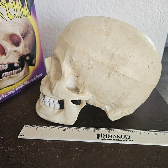 Vintage Halloween Skull Blow Mold Hinged Moveable Jaw Paper Magic Group - Picture 10 of 10